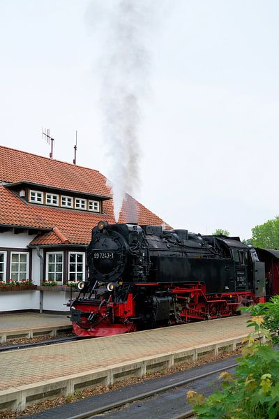 Steam locomotive of the Brockenbahn in the station of the city of Wernigerode in Germany by Heiko Kueverling