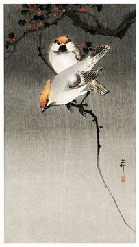 Bohemian waxwing birds (1900-1930) by Ohara Koson van Studio POPPY