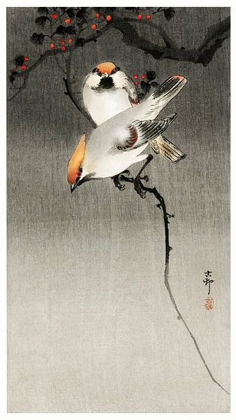 Bohemian waxwing birds (1900-1930) by Ohara Koson by Studio POPPY