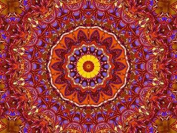 Retrospective (Mandala in Rood) van Caroline Lichthart