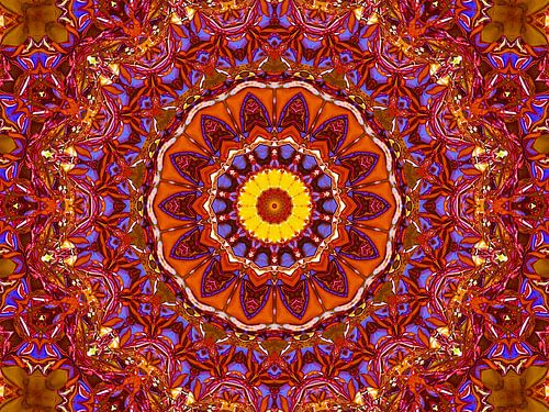 Retrospective (Mandala in Rood)