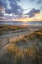 Zonsondergang aan duinen en strand van Dirk van Egmond thumbnail