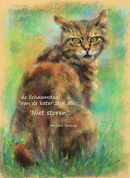 Bitte nicht stören Katzen Haiku Holländisch