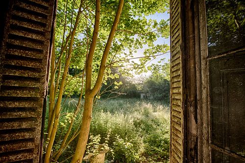 Blick vom Chateau Secession