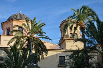 De koepel en een toren van de Basiliek van de Heilige Maria van Alicante achter groene palmbomen ond van LuCreator