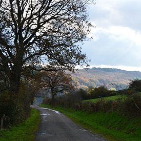 Landschap in de Ardennen van Kim V