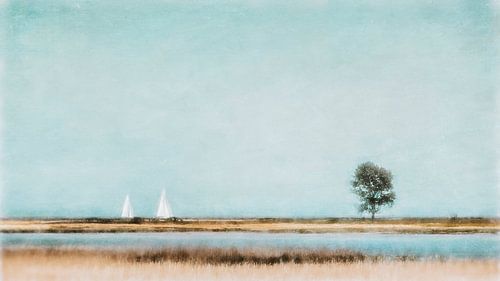 2 zeilboten en de boom