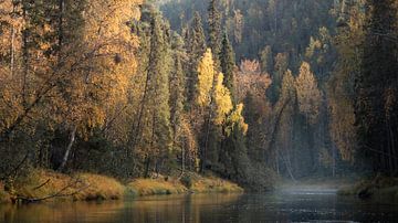 Fins herfstpalet van Vincent Croce