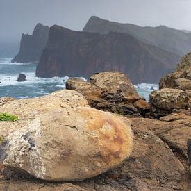 De ruige bewakers van São Lourenço van Walter G. Allgöwer