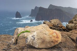 Les rudes gardiens de São Lourenço