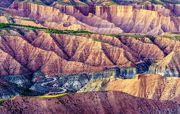 The winding road van Steven Driesen