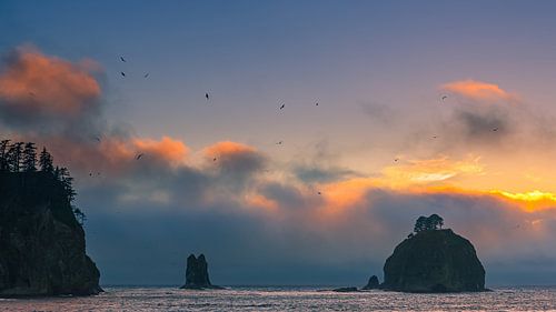 Zonsondergang La Push Beach