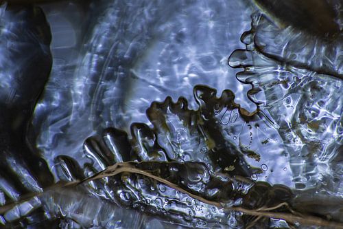 Blauw abstract | Onderwater | Varen