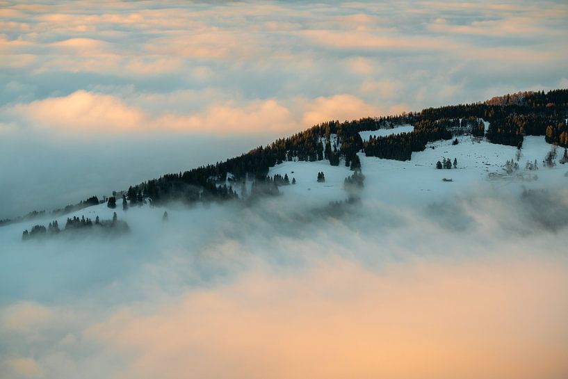 Fogged sunset view by Leo Schindzielorz