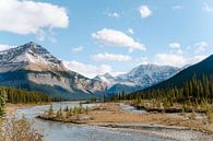 De Icefields Parkway - Canada's best views in Jasper van Marit Hilarius thumbnail