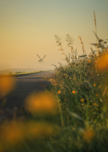 Mühle im Morgennebel
