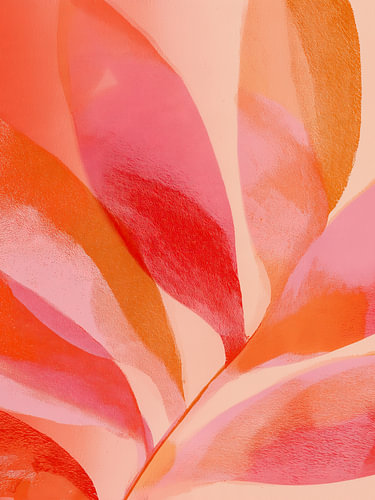 Rosa- und Orange-Bewegung