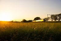 Ein NS-Sprinter auf der Gooi-Strecke bei Baarn