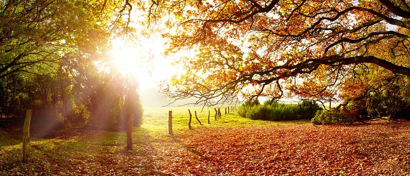 Wunderschöne Natur im Herbst von Günter Albers