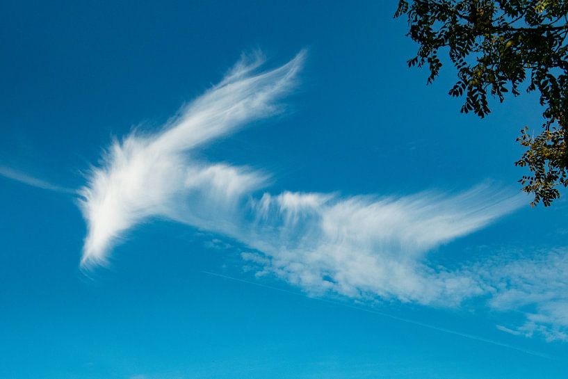 Dragoncloud by Michael van Eijk