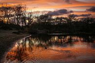 Zonsondergang duinen Zandvoort van Monique van Middelkoop thumbnail