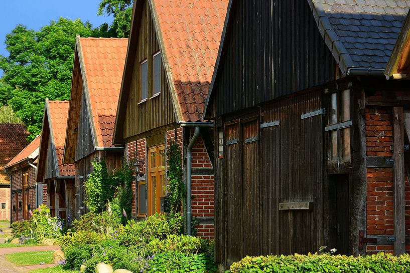 De historische schuurwijk in Ahlden van Gisela Scheffbuch