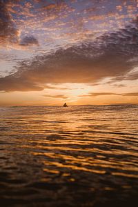 Surfen in Mentawai von Andy Troy