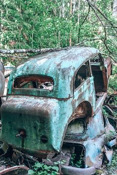 Schweden Autofriedhof Bastnas von Karin Verweij