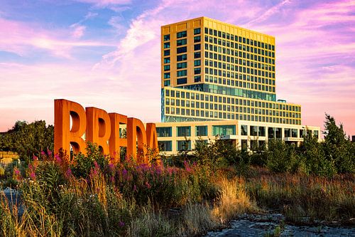 In the middle of the purple heather, Breda