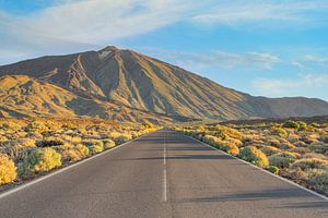 Teneriffa Straße zum Teide