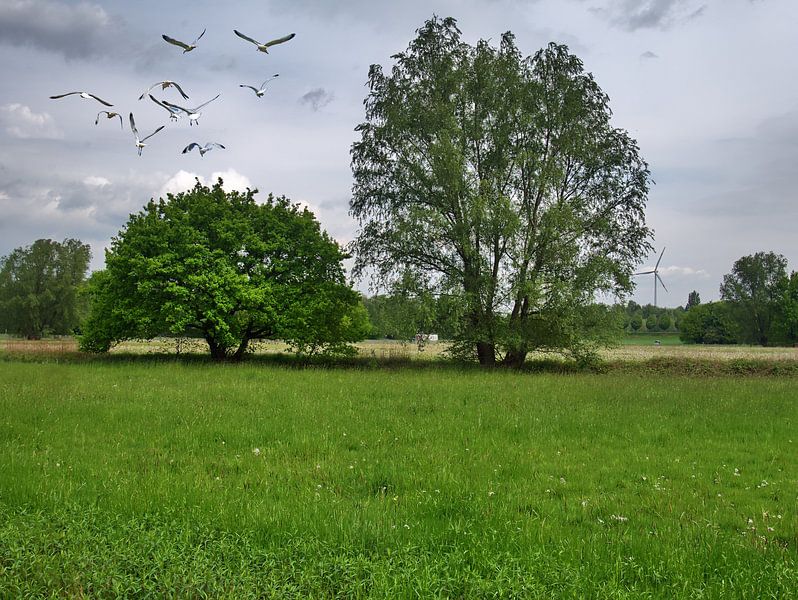 Dortmund 26 par Edgar Schermaul