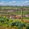 Frühling in Epen Süd-Limburg von John Kreukniet