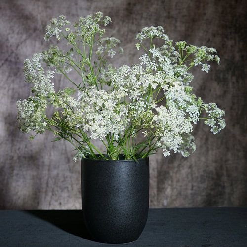 Strauß Kuh-Petersilie