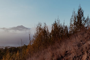 The view of Mount Batur