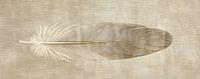 Federmalerei | Serenity in Single Feather