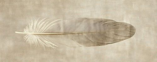 Tableau de plumes | Sérénité dans une seule plume