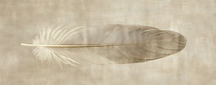 Feather painting | Serenity in Single Feather by Modern Collection