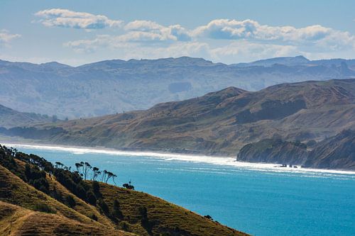 De kust van het Noordereiland bij Mahia Peninsula, Nieuw-Zeeland