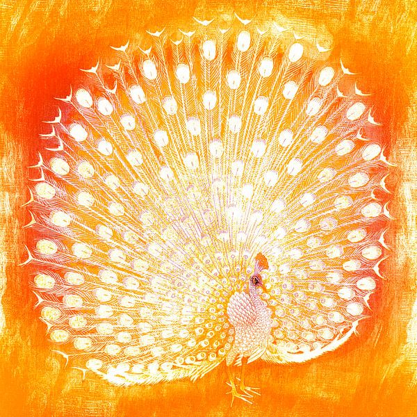 Japanischer Pfau in Orange Gelb von Mad Dog Art