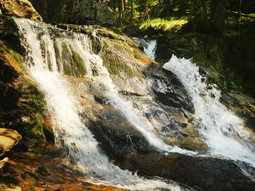 Riesloch Watervallen bij Bodenmais, Beieren 2 van Jörg Hausmann