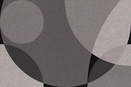 Scandinavische Zen: Grijze Cirkel Abstractie IV