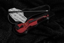 violin by William Haddock