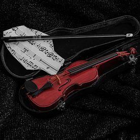 Geige von William Haddock