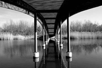 Under the bridge by M. van Oostrum