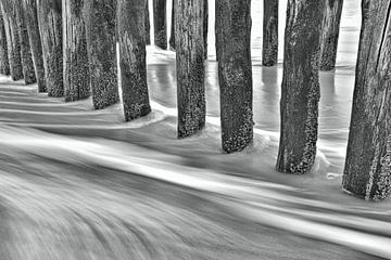 strandpalen in de zee van Ria Bloemendaal