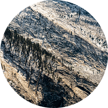 Rotsen en naaldbomen bij de Tioga Pass in Yosemite National Park, Californië, VS van Dieter Walther