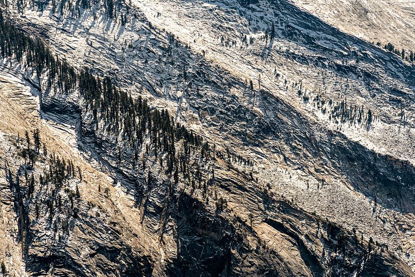 Rocks and conifers at Tioga Pass in Yosemite National Park California USA by Dieter Walther