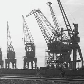 Kräne im Hafen von Antwerpen von Jolanda Kraus