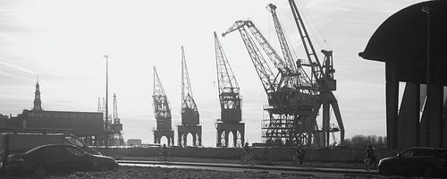 Cranes in the port of Antwerp