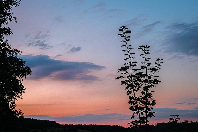 Lever de soleil Ardennes par themovingcloudsphotography